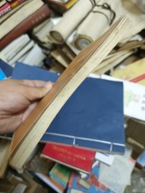 常用文体写作知识