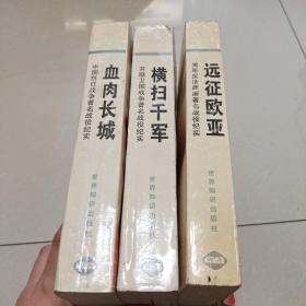 <血肉长城：中国抗日战争著名战役纪实、横扫千军:苏联卫国战争著名战役纪实、远征欧亚:美军反法西斯著名战役纪实>瀚A 此套为平装