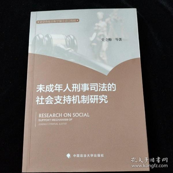 未成年人刑事司法的社会支持机制研究