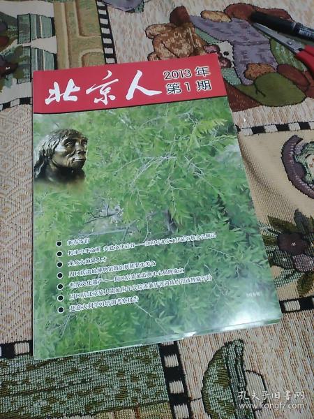 北京人 2013年第1期
