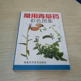 常用青草药彩色图集