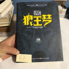 动物小说大王沈石溪经典作品·荣誉珍藏版：狼王梦