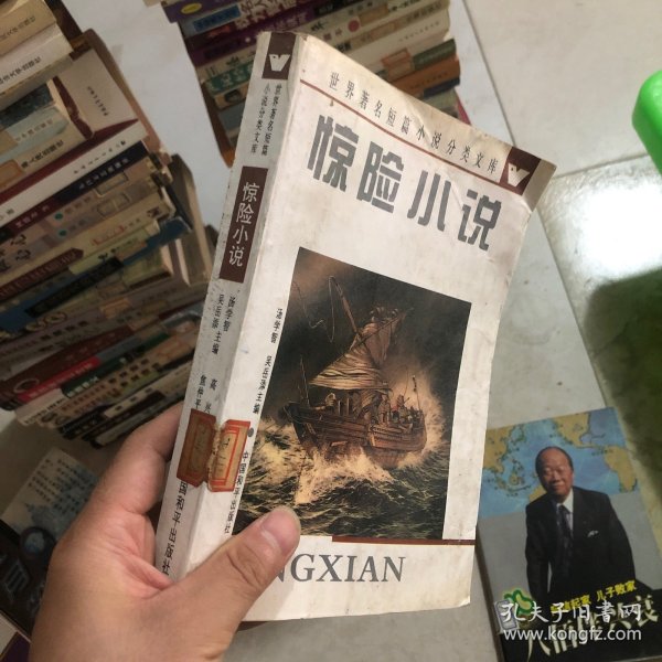 世界著名短篇小说分类文库：惊险小说