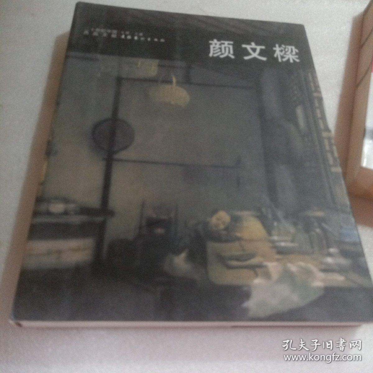 正版实拍：二十世纪中国西画文献：颜文樑