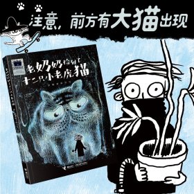 《老奶奶捡到了十二只小老虎猫》（2024年百班千人寒假书单 二年级推荐阅读）