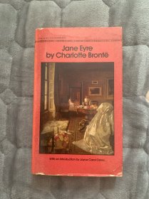 Jane Eyre 简爱  Charlotte Brontë 夏洛蒂·勃朗特作品 英文原版 1981年出版 封面漂亮 此版本稀少 美品