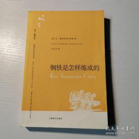 钢铁是怎样炼成的（译文名著文库）