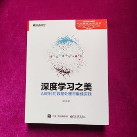 深度学习之美：AI时代的数据处理与最佳实践 张玉宏著 电子工业出版社