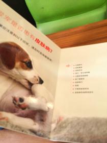 犬猫皮肤病学 宠主科普图册