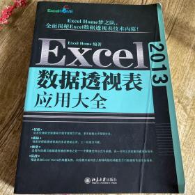 Excel 2013数据透视表应用大全