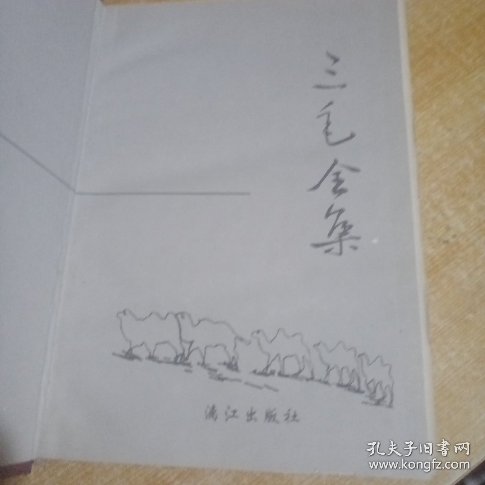 三毛全集（32开硬精装巨厚本）