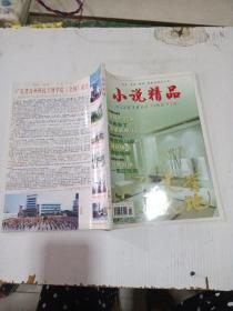 《小说精品》文学天地特刊