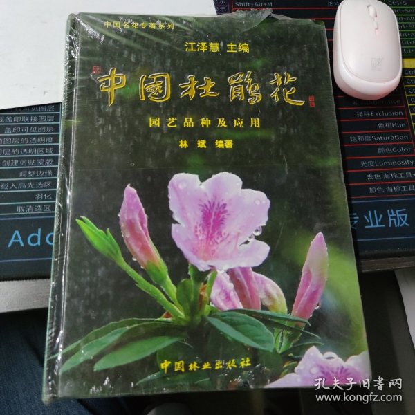 中国杜鹃花：园艺品种及应用