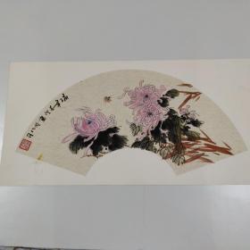 安徽名家  菊花手绘