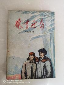 飞雪迊春