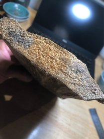 种植 奇楠香木料