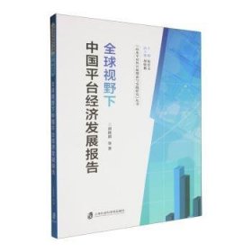全球视野下中国平台经济发展报告