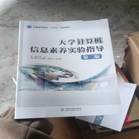 大学计算机信息素养实验指导（第二版）（）