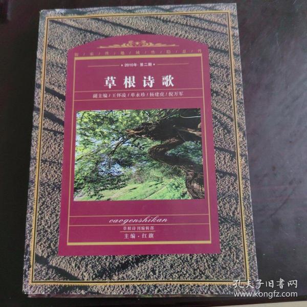 草根诗歌2010年夏  第二期 总第6期（路也评论蓝野的诗集回音书 阿华 阿翔等诗歌）