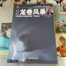 杰弗里·摩尔创新管理系列（3册合售）：龙卷风暴，断层地带，跨越鸿沟
