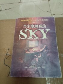 当李晓峰成为SKY