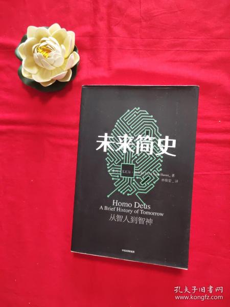 未来简史：从智人到神人