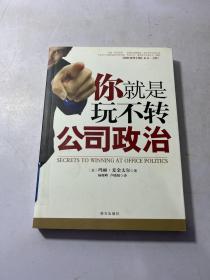 你就是玩不转公司政治——一本打开你职场死结的书！