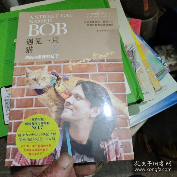 遇见一只猫:与Bob相伴的日子