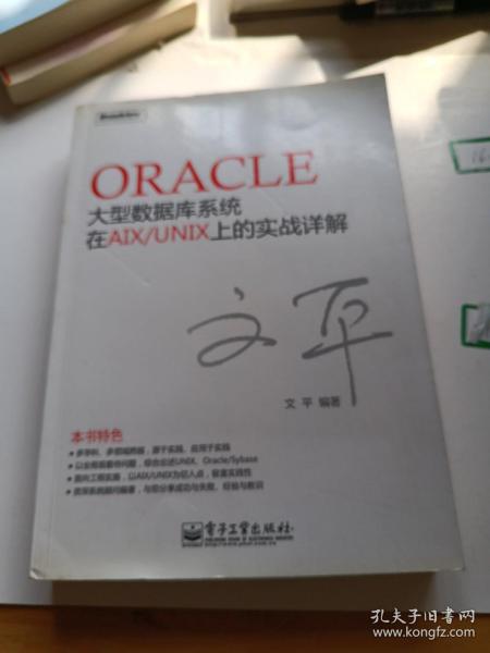 Oracle大型数据库系统在AIX/UNIX上的实战详解