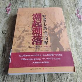 潮起潮落：农业学大寨运动回眸