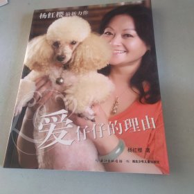 爱仔仔的理由