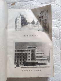 泰兴化学建材医药工业志