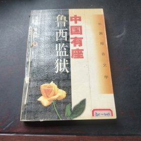 中国有座鲁西监狱: 长篇报告文学