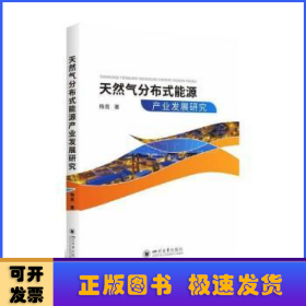 天然气分布式能源项目经济评价研究