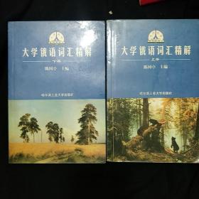 《大学俄语词汇精解》上下册 王丽辉 田文清 主编 哈尔滨工业大学出 私藏 书品如图