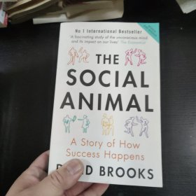 The Social Animal：A Story of How Success Happens 包邮 B2