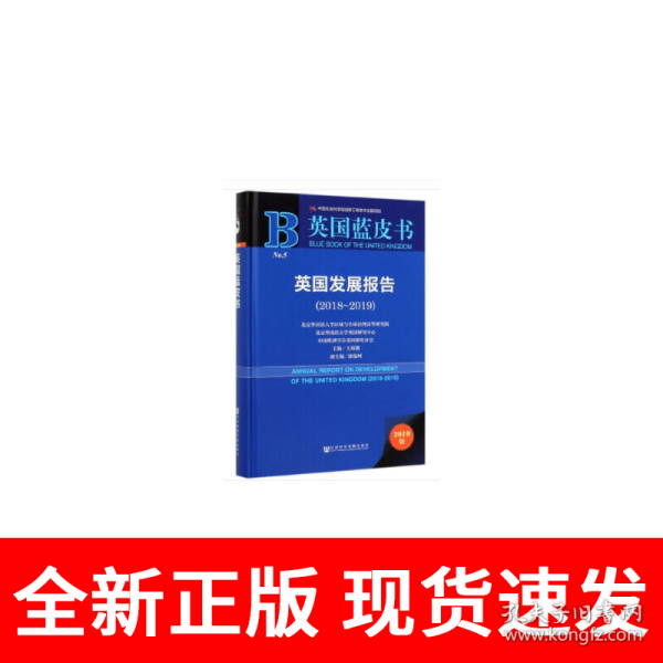 英国发展报告