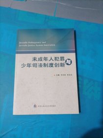 未成年人犯罪与少年司法制度创新