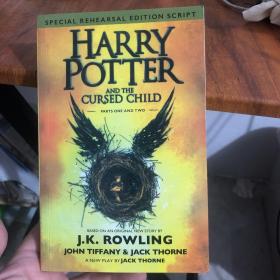 Harry Potter and the Cursed Child：The Official Script Book of the Original West End Production哈利波特与被诅咒的孩子 平装本 英文原版
