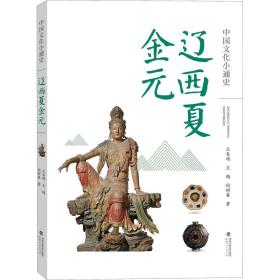 中国小通史 辽西夏金元 中国历史 邱树森