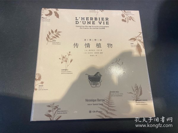 花草物语：传情植物