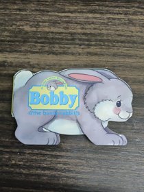 Bobby the bunny rabbit