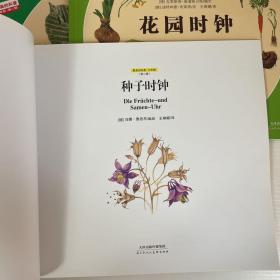 森林时钟/鸟的时钟/种子时钟/花园时钟/绿色时钟  五本 最美的科普 少年版（第二辑）