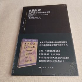 系统效应：政治与社会生活中的复杂性