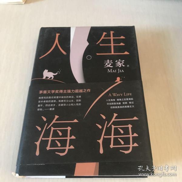 麦家：人生海海（茅盾文学奖得主麦家2019年强力之作）