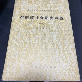 布朗族社会历史调查1 1981版