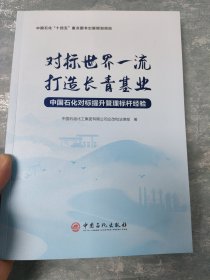 对标世界一流 打造长青基业