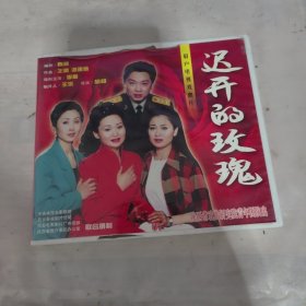 大型眉户现代戏 迟开的玫瑰 3VCD