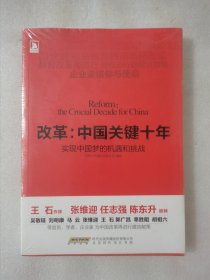 改革：中国关键十年·实现中国梦的机遇和挑战