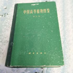 中国高等植物图鉴第五册